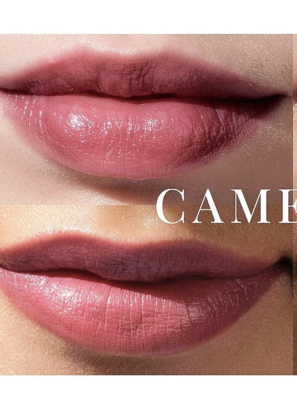 ❇️CAMELLIA Tatcha DISCONTINUED Kissu Lip Tint NWT